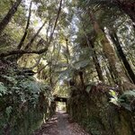 Photo taken by Linda F