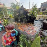 Photo taken by Anne M