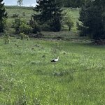 Photo taken by Sylvia S