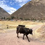 Photo taken by Melanie M