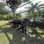 Photo taken by Jacqueline R