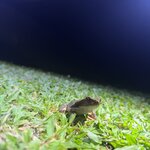 Photo taken by Jonathan S