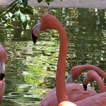 Photo taken by Laura R