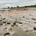 Photo taken by Anita H