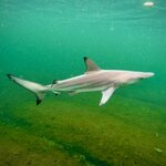 Photo taken by Katherine A