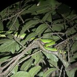 Photo taken by Matt P