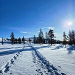 Photo taken by Caitlin P