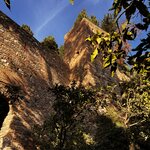 Photo taken by Suzanne C