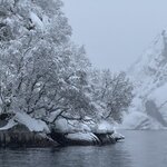 Photo taken by Andrew S