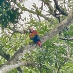 Photo taken by Alexia M