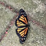 Photo taken by Brian L