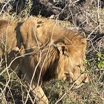 Photo taken by Joanne B