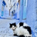 Photo taken by KHEE BOON L