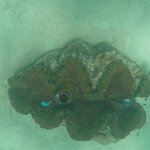 Photo taken by Julie H