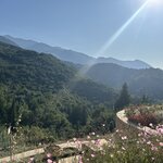 Photo taken by Dale V