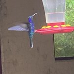 Photo taken by Kim L