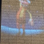 Photo taken by Paula M