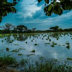 Photo taken by Terrence Y