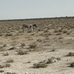 Photo taken by Nigel R