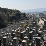 Photo taken by Ian M