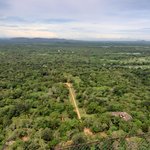 Photo taken by Dineia P