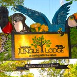 Photo taken by Dennis H