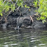 Photo taken by Gary W