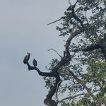 Photo taken by Cayden S