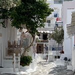 Photo taken by Shanna H