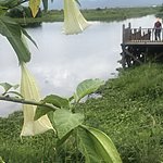 The Sanctum hotel | Photo taken by Cynthia C