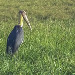 Photo taken by Graham D