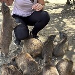 Photo taken by Gabrielle A