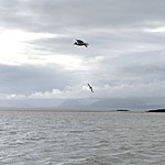 Photo taken by Sarah C