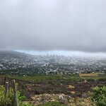 Photo taken by Yin Ling K