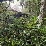 Photo taken by JULIE M