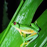 Photo taken by Tenley G