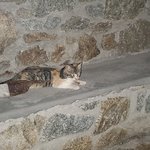 Photo taken by Patricia K