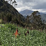 Photo taken by Kristen K