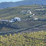 Photo taken by Vicki V