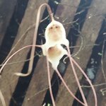 Photo taken by Kathy K