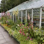 Photo taken by Eliza M