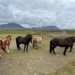 Photo taken by Jennifer R