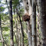 Photo taken by Rebecca B