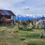 Photo taken by Devon B