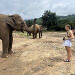 Photo taken by Dianne M