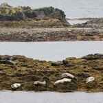 Photo taken by Tim Z