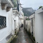 Photo taken by Megan E