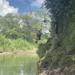 Photo taken by Darcy M