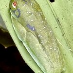 Photo taken by Ben B