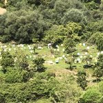 Photo taken by Liz S